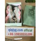 1keytrade yupoo | qiqiyg whatsapp | qiqiyg.com Grossiste chinois fiable Vêtements sacs chaussures