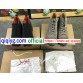 kang8899jian yupoo good | qiqiyg official | qiqiyg.com Grossiste chinois fiable Vêtements sacs chaussures